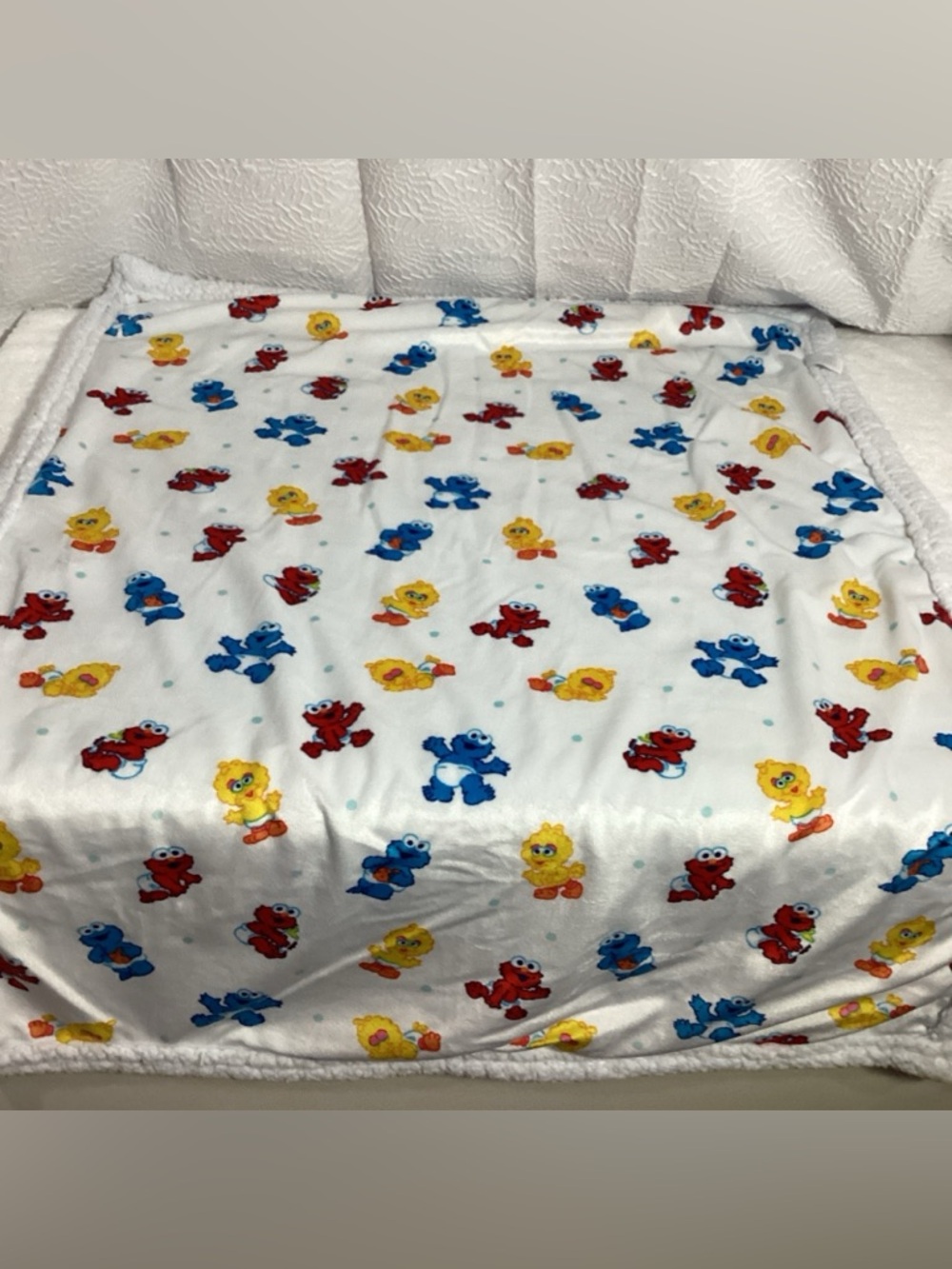 Vintage Sesame Street Babies Graphic Printed Baby Blanket Sherpa Back
